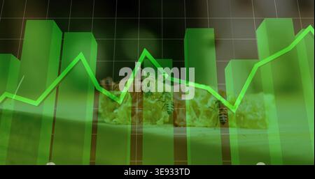 Displaying 3D green bar chart and neon-green line graph over honeycomb texture in studio, with bees Stock Photo