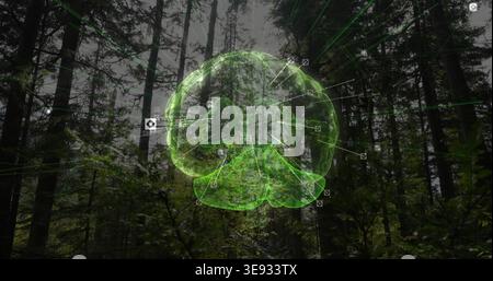 Projecting green hologram brain pulsing and sending beams through foggy pine forest with node icons Stock Photo