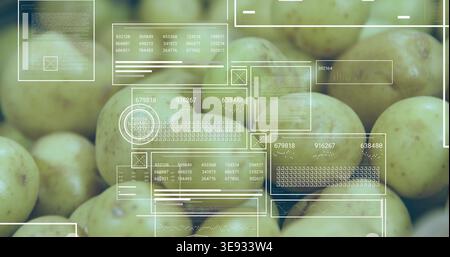 Displaying pale yellow-green potatoes on flat surface, showing transparent HUD panels and readouts Stock Photo