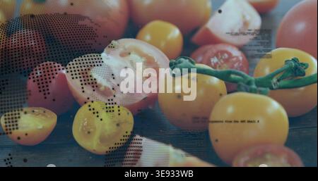 Showing yellow red cherry tomatoes halved and whole with green vine on dark board, halftone text Stock Photo