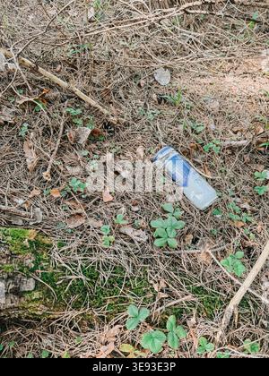 Riga, Latvia - April 15, 2026: Discarded plastic cup lying on a forest floor among pine needles and plants. Image highlights environmental pollution, Stock Photo