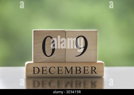 December 9 text on wooden blocks with blurred nature background. Copy space and calendar conceptDecember 3 text on wooden blocks with blurred nature b Stock Photo