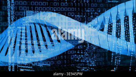 Displaying DNA double helix ribbon twisting in virtual data grid, showing binary code streams Stock Photo