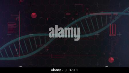 Displaying teal green DNA helix running diagonally across hex grid HUD, showing red data overlays Stock Photo