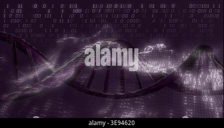 Undulating stylized DNA double helix flowing across virtual 3D data field, with binary streams Stock Photo