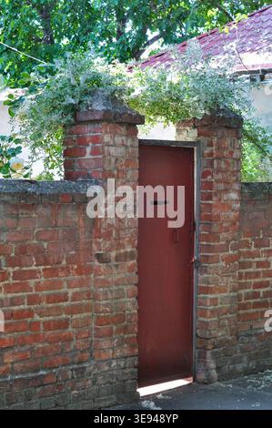 A rustic red metal door stands within a textured brick wall, partially obscured by lush green foliage and climbing plants Stock Photo