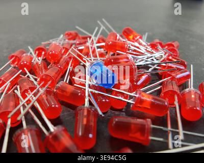 Red LED diodes with one blue diode standing out, electronic components concept Stock Photo