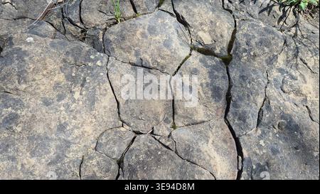 Top View of Natural Limestone Pavement Rock Formation Texture. Cracked limestone in nature. Stock Photo