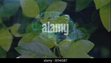 Projecting digital brain hologram hovering over green leaves in macro close-up, with network nodes Stock Photo