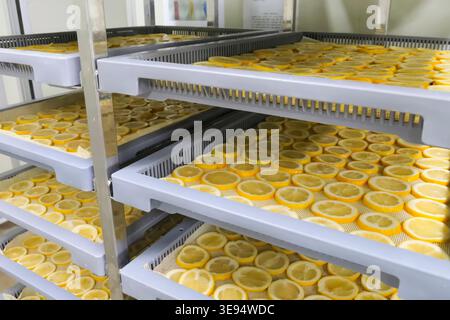 Lemons and oranges cut, into slices are dried on Stock Photo