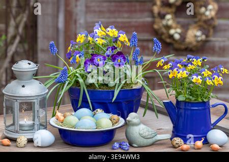 easter garden arrangement with naturally dyed eggs, viola flowers and grape hyacinths in vintage pots and a lantern Stock Photo