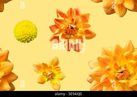 Yellow and orange flowers scattered across a light background. The design can be used for textiles, wallpapers, or digital projects Stock Photo