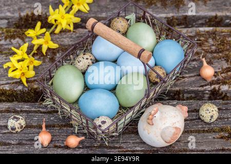 naturally dyed green and blue Easter eggs in a basket Stock Photo