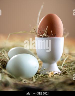 Free Range Eggs Stock Photo