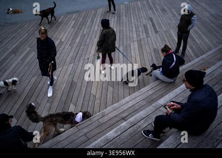 People walk and sit on wooden steps while dogs roam freely in an urban plaza. Stock Photo
