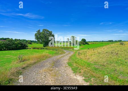 Landschaft Stock Photo