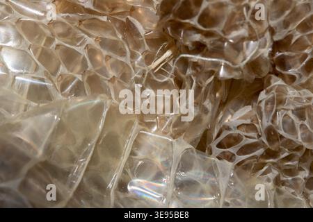 Close up of shedded snake skin snakeskin textured reptile background Stock Photo