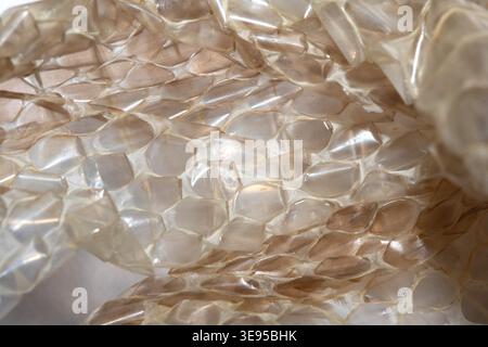 Close up of shedded snake skin snakeskin textured reptile background Stock Photo