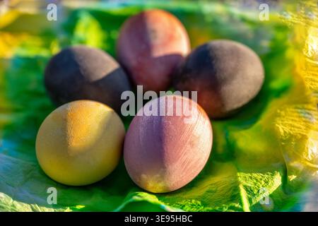 Dyed easter egg on spring colored napkin in plate, closeup. Stock Photo