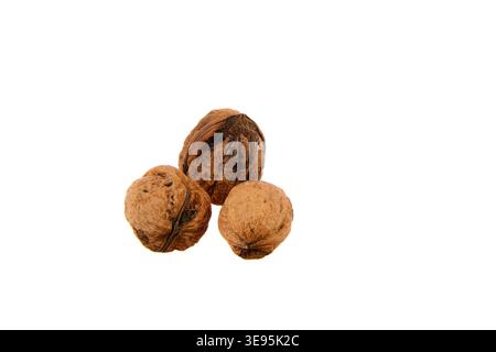 Three whole walnuts in their shells on a white background, emphasizing rough texture, warm brown tones and organic food styling for culinary, healthy Stock Photo