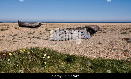 Two old wooden boats lie on a coastal shore, surrounded by green grass. It's a bright sunny day, open space, and a natural coastal landscape. Stock Photo