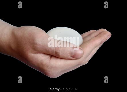 A high-quality close-up of a person's hand gently cradling a smooth, round white object, which could be interpreted as a massage stone, a bar of natural soap, or a sea pebble. Isolated on a transparent background for healthcare, wellness, and beauty designs. hand holding smooth white stone isolated on transparent background. Zen spa concept, hand with soap bar or sea pebble. High quality photo Stock Photo