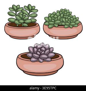 Set of three succulent plants in terracotta pots, vector illustration Stock Vector
