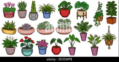 Set of diverse potted houseplants and succulents, vector illustration Stock Vector