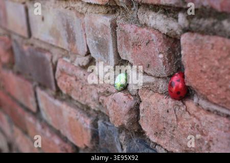 Close-up of rustic brick wall with two colorful mini chocolate easter eggs hidden in mortar for a traditional easter egg hunt for children, shallow de Stock Photo
