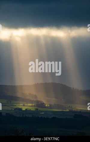 Dramatic sunbeams (crepuscular rays) breaking through dark storm clouds over the rolling green hills and patchwork fields of the Devon countryside. Stock Photo