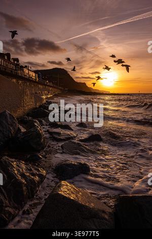 A dramatic golden sunrise over the pebble beach and rocky shoreline at Sidmouth, Devon, England. A flock of seagulls flies across the orange sky. Stock Photo
