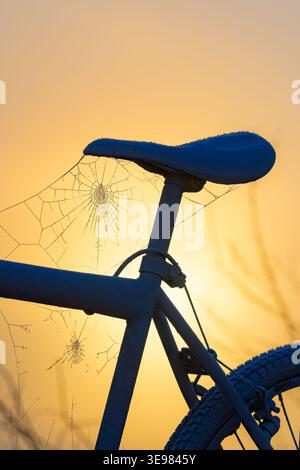 Spider webs on bicycle Stock Photo