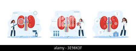 Human kidney. Disease diagnosis and treatment by specialist for healthcare and medicine. Set of vector illustration Stock Vector
