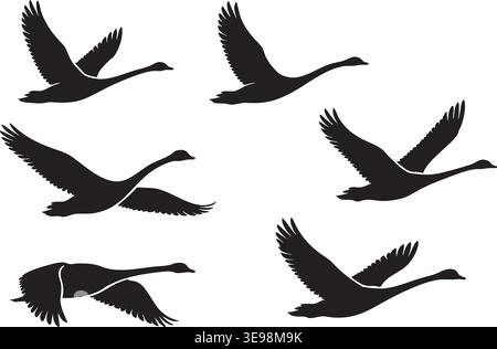 Flying swan silhouettes isolated on white with elegant wing positions Stock Vector