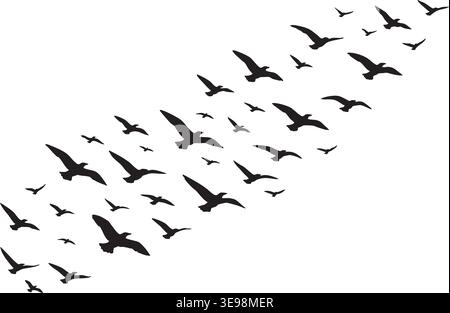 Large flock of flying bird silhouettes isolated on white background Stock Vector