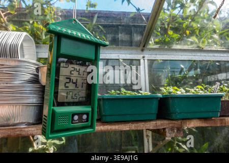 An electronic min max thermometer with a digital LCD display hanging in a greenhouse Stock Photo
