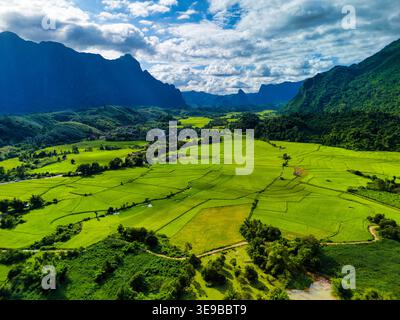 Heart Rice Paddy Vibrant green rice paddies stretching across the valley floor with hazy ...