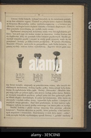 A scientific illustration from Popular Science Monthly, showing a ...