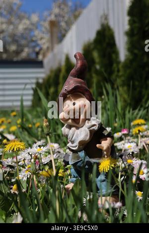 Garden elf with wildflowers and dandelions. Daisies bloom white and yellow in grass. Sunlit meadow feels gentle and peaceful. Flowers surround dwarf w Stock Photo