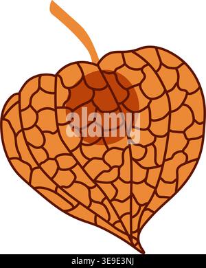 Physalis berry. Chinese lantern plant. Perfect for fall decor, nature, garden, and seasonal background element. Vector illustration Stock Vector