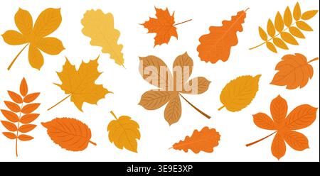 Set of autumn leaves from different trees. Fallen leaves in warm seasonal colors for patterns, banner, stickers. Vector illustration Stock Vector