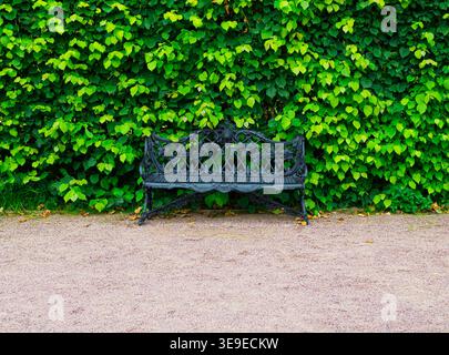 black wrought iron bench in the park Stock Photo