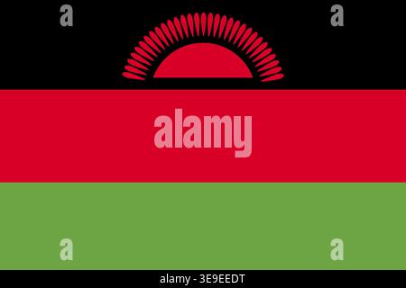 High quality Malawi flag image suitable for editorial education travel and digital design projects Stock Vector