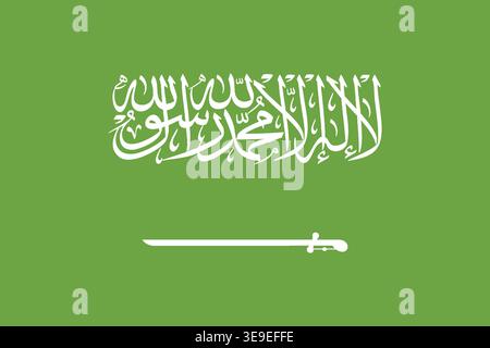 Professional Saudi Arabia flag image for global content travel visuals and cultural representation Stock Vector