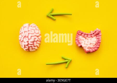 Brain and gut communication on yellow background Stock Photo