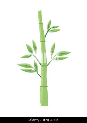 Green sugar cane stalk with leaves isolated on white background, tropical plant element, agriculture and farming concept, modern flat vector Stock Vector