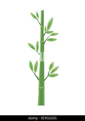 Green sugar cane stalk with leaves isolated on white background, tropical plant element, agriculture and farming concept, modern flat vector Stock Vector