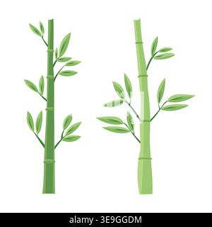 Green sugar cane stalk with leaves isolated on white background, tropical plant element, agriculture and farming concept, modern flat vector Stock Vector