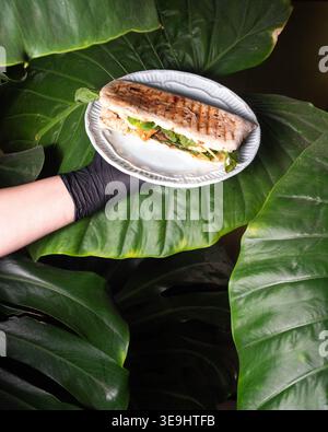 Grilled sandwich rests on a white plate. Hand in black glove holds the plate gently. Large green leaves frame the scene naturally. Fresh, appetizing f Stock Photo