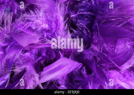 Vibrant purple feather boa texture in a dense, fluffy macro full-frame background Stock Photo